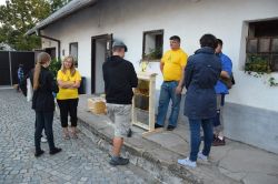 Podzimní gardenparty