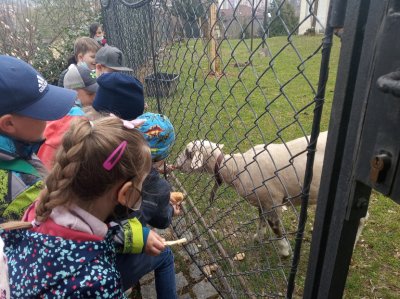 Exkurze tříd základních škol