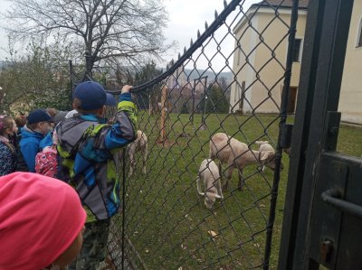 Exkurze tříd základních škol