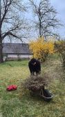 Brigáda v Olomučanech