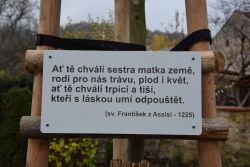 Žehnání stromu na farní zahradě