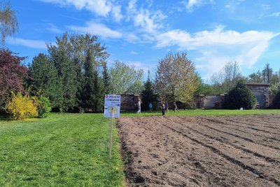 Diecézní ministrantská pouť